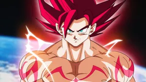Dragon Ball Z Goku In Super Saiyan God Form Wallpaper