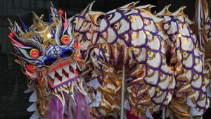 Dragon Dance Costume Closeup Wallpaper