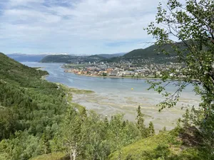 Drammen River View Norway Wallpaper