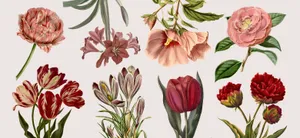 Dreaming Of A Digital Life Wallpaper