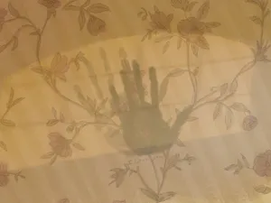 Dreamnotfound Hand Print Wallpaper