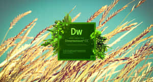 Dreamweaver Editing Software For Creating And Managing Websites Wallpaper