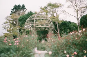 Dreamy Aesthetic Rose Garden Wallpaper
