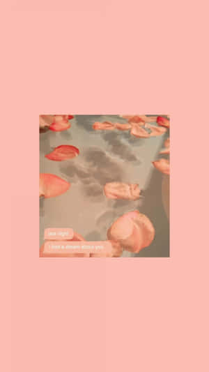 Dreamy Peach Petals Aesthetic.jpg Wallpaper