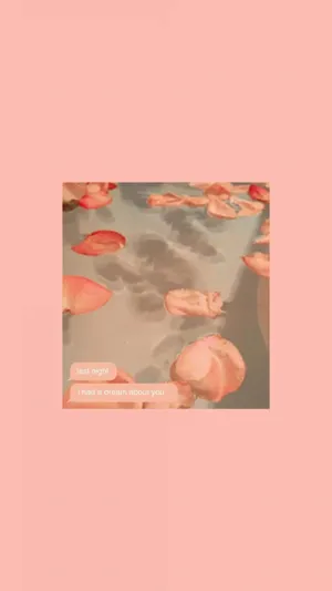 Dreamy Peach Petals Aesthetic.jpg Wallpaper
