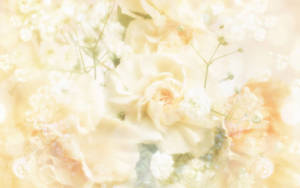 Dreamy Wedding Flowers Wallpaper