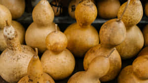 Dried Bottle Gourd Varieties Wallpaper