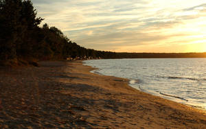 Dried Seaweed Sand Beach Desktop Wallpaper