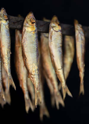 Dried Smelt Fishon Rack Wallpaper