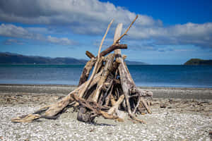 Driftwood Structureon Beach Wallpaper