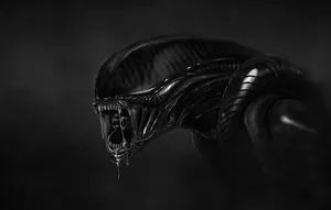 Droll Xenomorph Wallpaper