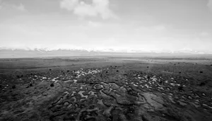 Drought Land Turns Desolate Wallpaper