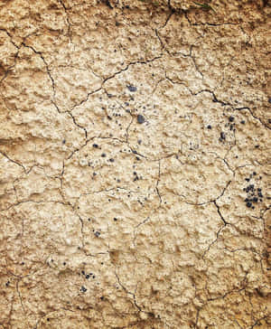 Dry Mud Texture Soil Wall Wallpaper