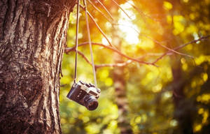 Dslr Blur Retro Camera Wallpaper