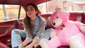 Dua Lipa Pink Teddy Bear Wallpaper