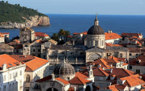 Dubrovnik Hotel Stari Grad Wallpaper