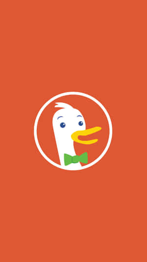 Duck Duck Go Logoon Orange Background Wallpaper