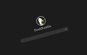 Duck Duck Go Search Interface Wallpaper