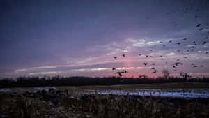 Duck Hunting From The Shore Wallpaper