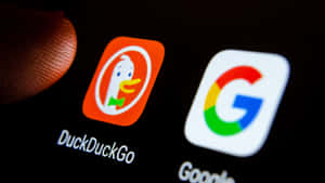 Duckduckgo Logo On White Background Wallpaper