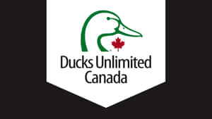 Ducks Unlimited Canada Logo Wallpaper