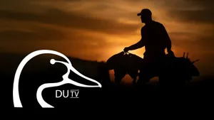 Ducks Unlimited Conservation Efforts Wallpaper