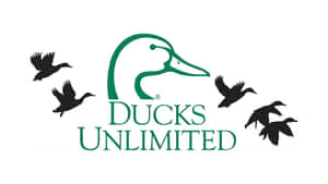 Ducks Unlimited Conservation Logo Wallpaper