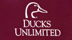 Ducks Unlimited Logo Wallpaper