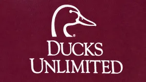 Ducks Unlimited Logo Wallpaper