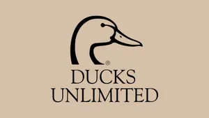 Ducks Unlimited Logo Design Wallpaper