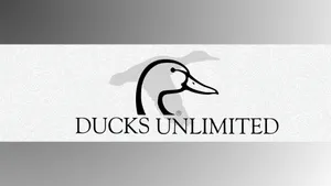 Ducks Unlimited Logo Design Wallpaper