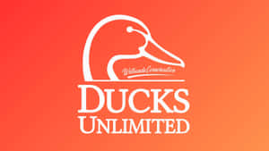 Ducks Unlimited Logo Design Wallpaper