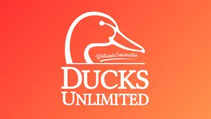 Ducks Unlimited Logo Design Wallpaper