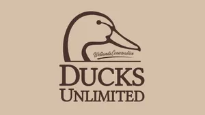 Ducks Unlimited Logo Design Wallpaper
