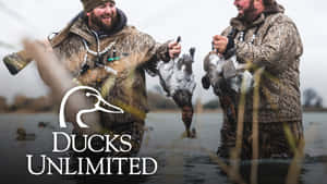 Ducks Unlimited Waterfowl Conservation Wallpaper
