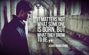 Dumbledore Quotes Harry Potter Laptop Wallpaper