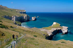 Dunedin Coastal Cliffsand Arches New Zealand Wallpaper