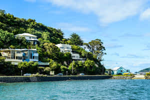 Dunedin Coastal Homes New Zealand Wallpaper