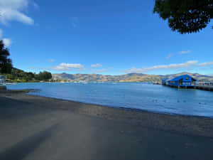 Dunedin Harbor Sunny Day New Zealand Wallpaper