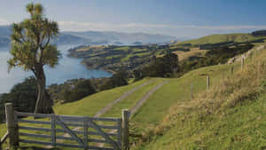 Dunedin New Zealand Countryside View Wallpaper