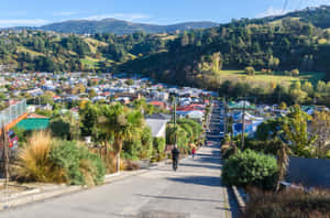 Dunedin New Zealand Steep Street View Wallpaper