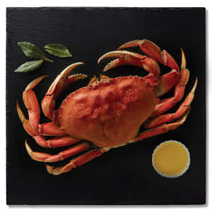 Dungeness Crab Preparedon Slate Wallpaper