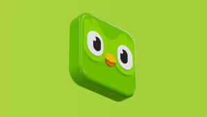 Duolingo Green Owl Mascot Wallpaper