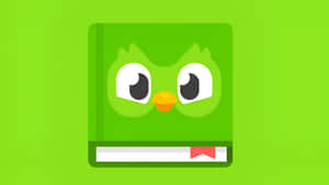 Duolingo Language Learning App Wallpaper