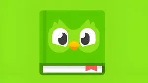 Duolingo Language Learning App Wallpaper