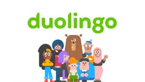 Duolingo Language Learning Mascots Wallpaper