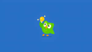 Duolingo Owl Celebrates Success Wallpaper