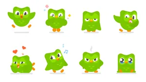 Duolingo Owl Emotions Wallpaper