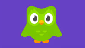 Duolingo Owl Mascot Wallpaper