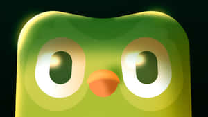 Duolingo Owl Mascot Closeup Wallpaper